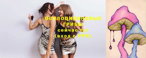 ГАЛЛЮЦИНОГЕННЫЕ ГРИБЫ Аркадак