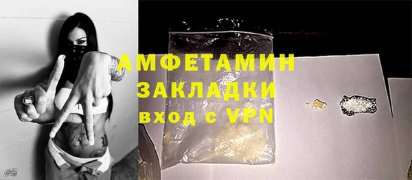 ГАЛЛЮЦИНОГЕННЫЕ ГРИБЫ Аркадак