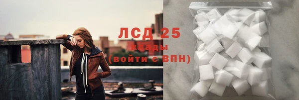 ГАЛЛЮЦИНОГЕННЫЕ ГРИБЫ Аркадак