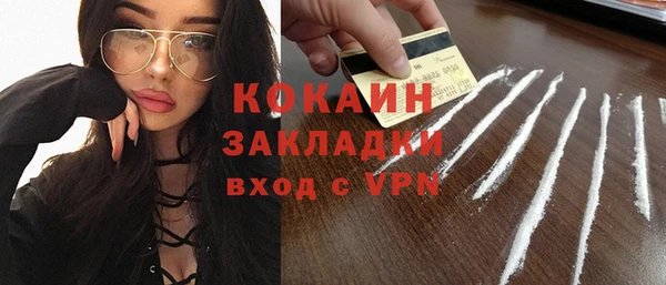 шишки Армянск