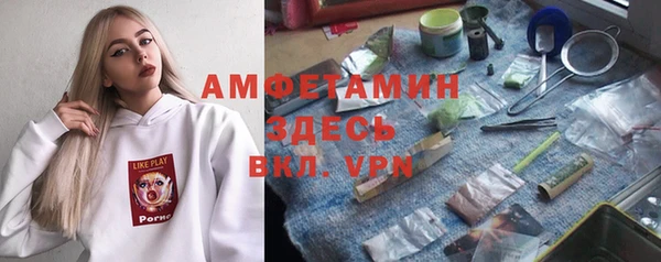 шишки Армянск