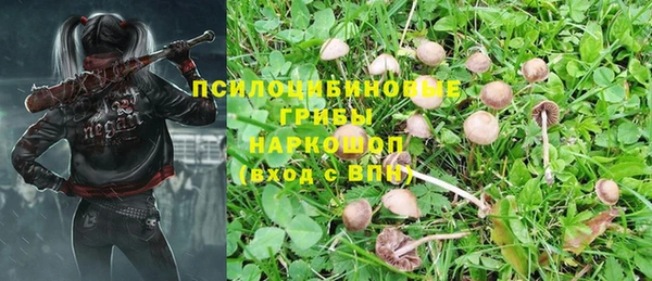 шишки Армянск