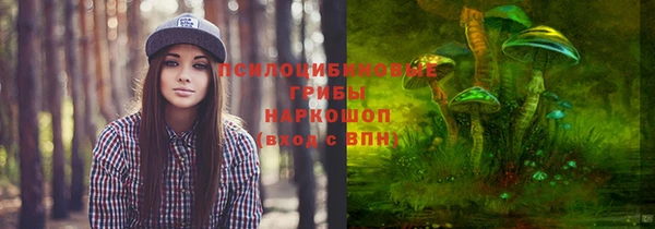 ГАЛЛЮЦИНОГЕННЫЕ ГРИБЫ Аркадак