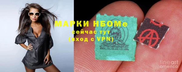 ГАЛЛЮЦИНОГЕННЫЕ ГРИБЫ Аркадак